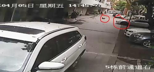 五歲女童小區內遭車碾壓身亡，后續調查與安全警示